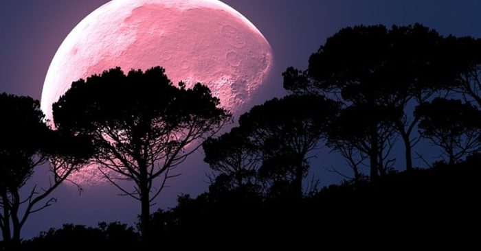 Luna Llena (Rosa) en Transito por Escorpio 24 Abril 2024