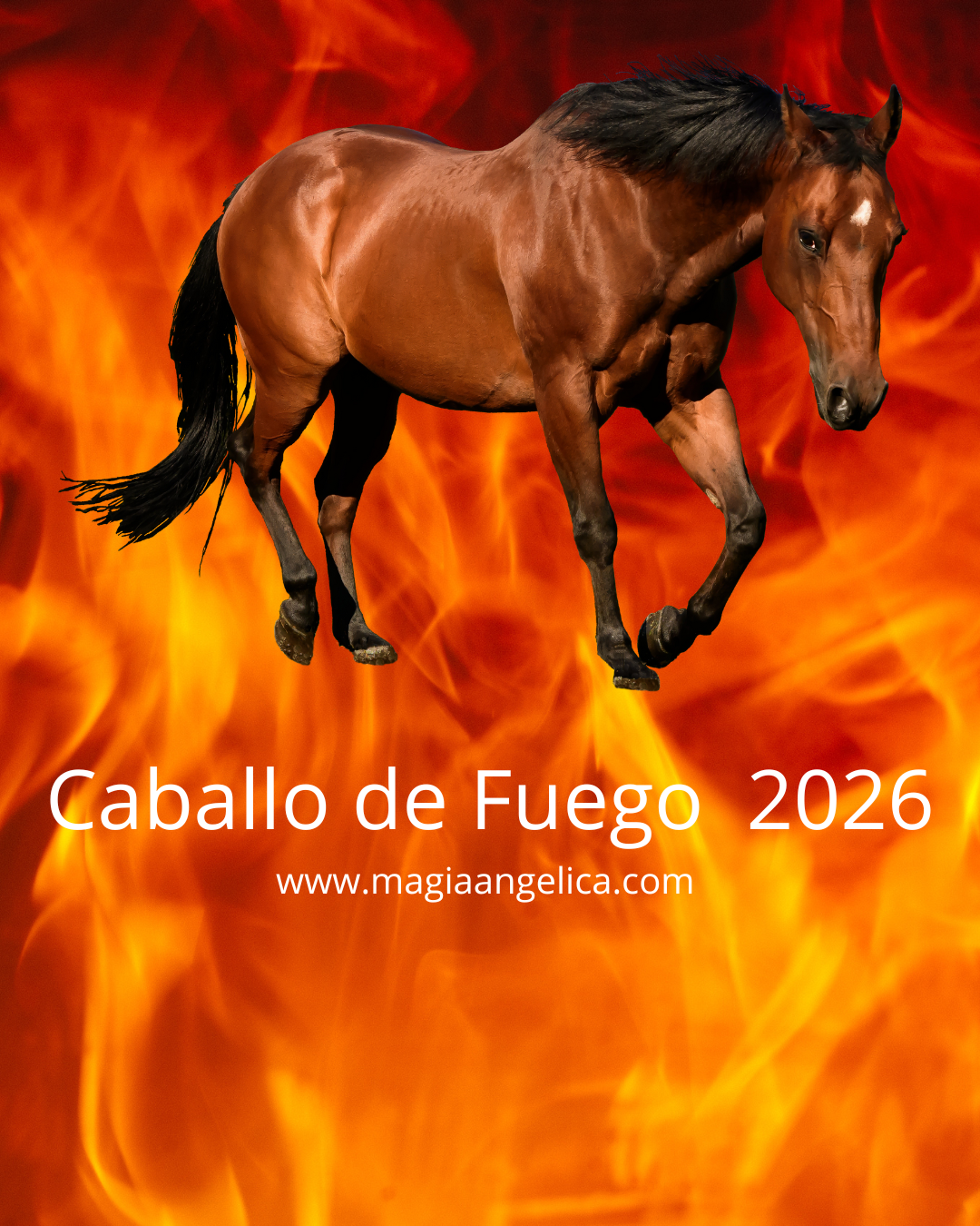 Consejos y Rituales para el Año del Caballo de Fuego
